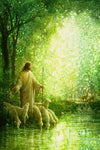 Feed My Sheep is a painting that depicts Jesus Christ watching over His flock while drinking at a pond - Yongsung Kim | Havenlight | Christian Artwork
