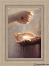 Sanctified Open Edition Canvas / 16 X 24 Frame I 31 3/4 23 Art